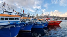 Imagem de Grupo de armadores associados da Coopesca vai passar a vender o próprio pescado (áudio)