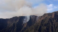 Imagem de Incêndio no Jardim da Serra já está extinto (Vídeo)