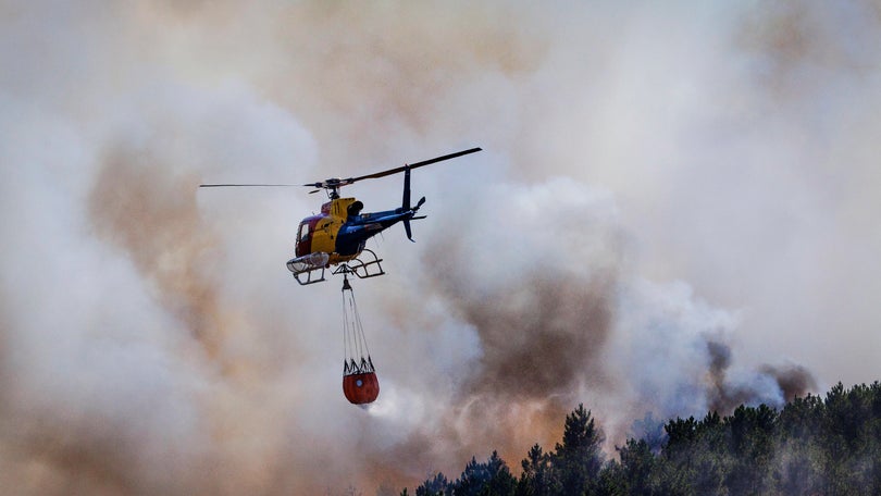 Imagem de Bombeiros da Marinha Grande queixam-se da falta de meios