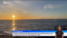 Imagem de Ilhas Selvagens receberam expedição com cerca de 40 investigadores (vídeo)