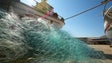 Imagem de Pescadores queixam-se da contabilização do número de horas de trabalho