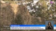 Imagem de Região passa a ter oito novos elementos da proteção civil aptos em busca e salvamento em terra (vídeo)