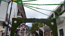 Imagem de Ribeira Brava assinala o São Pedro com cinco dias de festa
