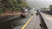 Imagem de Queda de pedras atinge autocarro e obriga a corte de estrada na Ribeira Brava (vídeo)