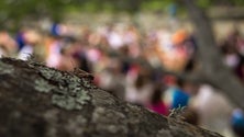 Imagem de II Festival Internacional de Contos da Madeira arranca este fim de semana