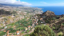Imagem de Madeira com 7% da população vacinada