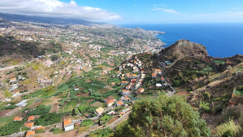 Imagem de Madeira com 7% da população vacinada
