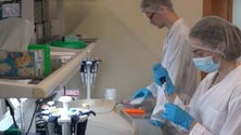 Imagem de Rússia diz que tem duas vacinas contra a Covid-19