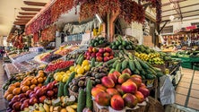 Imagem de Fruta tradicional madeirense no catálogo europeu de variedades