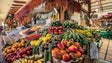 Imagem de Fruta tradicional madeirense no catálogo europeu de variedades