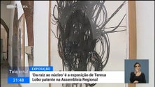 Imagem de «Da raiz ao núcleo» é o nome da exposição de Teresa Gonçalves Lobo (vídeo)