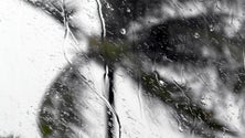 Imagem de Chuva e agitação marítima colocam Madeira sob aviso laranja