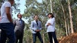 Imagem de Governo Regional investe 5,5 M€ em Câmara de Lobos