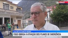 Imagem de Muitos animais não resistiram às chamas (vídeo)