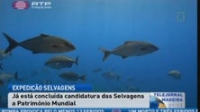 Imagem de Está concluída a candidatura das ilhas Selvagens a Património Mundial (Vídeo)