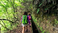 Madeira, o 4.º destino mais procurado pelos portugueses este verão