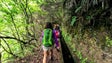 Imagem de Madeira, o 4.º destino mais procurado pelos portugueses este verão