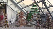 Imagem de Hospital da Horta escolhe a melhor árvore de Natal (Vídeo)