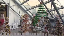 Hospital da Horta escolhe a melhor árvore de Natal (Vídeo)