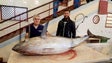 Quota do atum permite mais 8% de capturas