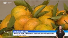Imagem de Produção de tangerina em alta (vídeo)