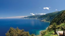 Imagem de Madeira arranca segunda-feira com nova campanha de promoção (Áudio)