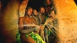 Covid-19: Dez indígenas de uma tribo remota no Índico testam positivo