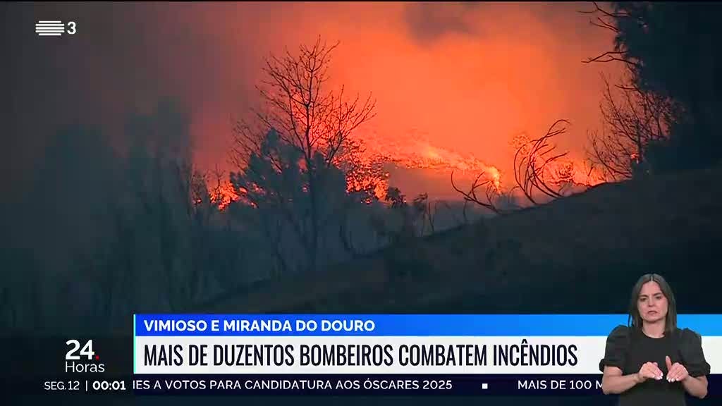 Incêndio Miranda do Douro. Fogo ameaçou aldeia de São Martinho de Angueira