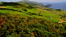 Leite valorizado em São Jorge (Som)