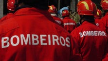 Imagem de Bombeiros vão receber salários em atraso, garante grupo SATA (Vídeo)