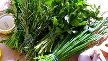 Imagem de Jovens agricultores reforçam aposta na exportação de ervas aromáticas