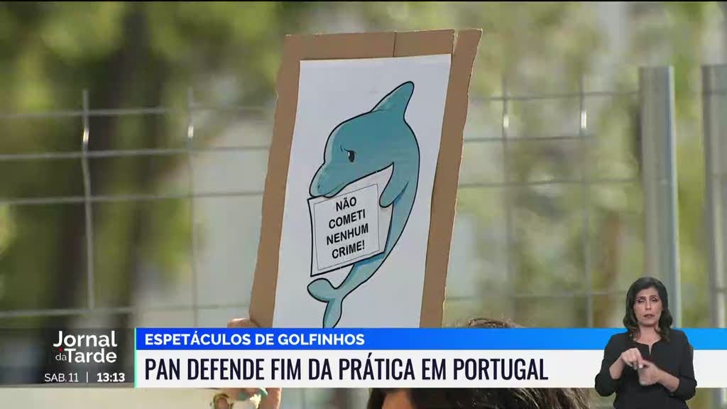 "Empty the tanks". Protesto exige fim dos espetáculos com golfinhos