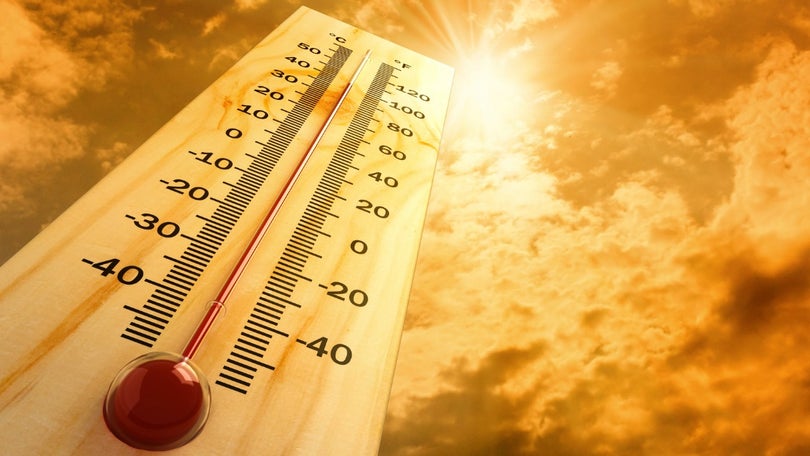 Imagem de Junho regista temperaturas mais elevadas do ano com valores anormais na Sibéria