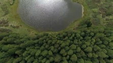 Imagem de Rede Impel 2023: Açores investem na preservação do Património Natural