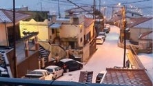 Imagem de Zonas altas da Madeira amanheceram com neve (fotografias)