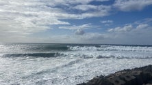 Imagem de Madeira voltou a estar na rota dos surfistas de ondas grandes (vídeo)
