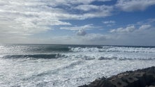 Madeira voltou a estar na rota dos surfistas de ondas grandes (vídeo)