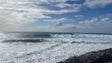 Madeira voltou a estar na rota dos surfistas de ondas grandes (vídeo)