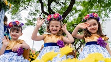 Imagem de Turistas dão 17,8 valores à edição 2018 da Festa da Flor