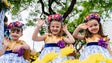 Imagem de Turistas dão 17,8 valores à edição 2018 da Festa da Flor