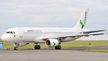 Imagem de Empresa islandesa ainda não sabe se concorre à privatização da Azores Airlines