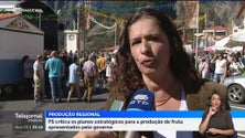 PS defende mudança de estratégia para a produção de fruta regional (vídeo)