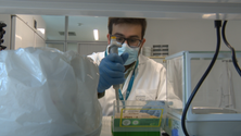Imagem de Investigadores identificaram biomarcadores do cancro renal (vídeo)