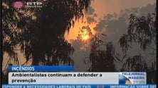 Imagem de Ambientalistas defendem a prevenção perante os incêndios (Vídeo)