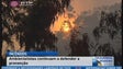 Ambientalistas defendem a prevenção perante os incêndios (Vídeo)