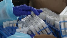 Imagem de Portugal em projeto para segurança das vacinas