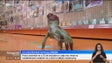 Imagem de Halloween é cada vez mais assinalado na Região (vídeo)