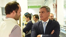 Imagem de PSD elogia política de emprego do Governo Regional