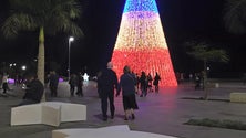 Imagem de Primeiro dia das iluminações no Funchal atraiu muita gente ao centro da cidade