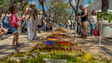 Imagem de Região já tem operações turísticas confirmadas para a Festa da Flor (Áudio)